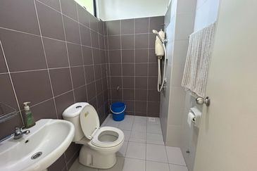 Maple Red, Adda Heights