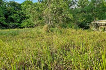 Beranang Industrial Park