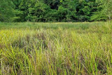 Semenyih kajang beranang balakong industry land 