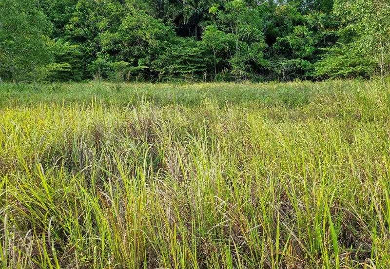 Semenyih kajang beranang balakong industry land 