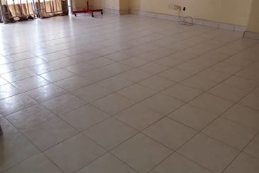 Evergreen Park Scot Pine