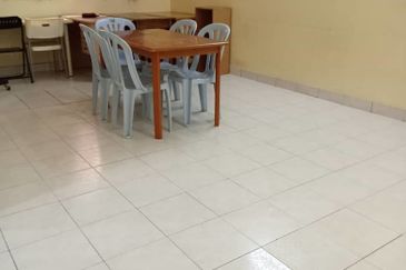 Evergreen Park Scot Pine