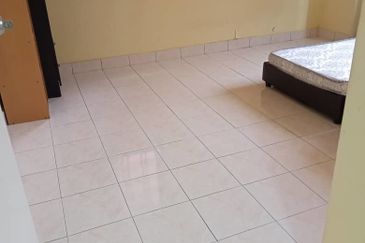 Evergreen Park Scot Pine