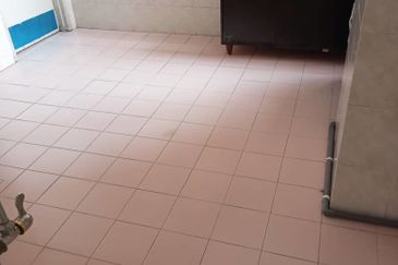 Evergreen Park Scot Pine