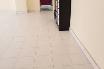 Evergreen Park Scot Pine