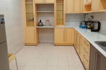 Evergreen Park Scot Pine