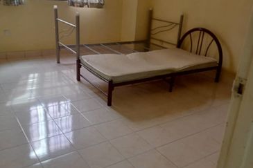 Evergreen Park Scot Pine