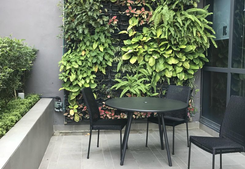 Arnica @ Tropicana Gardens