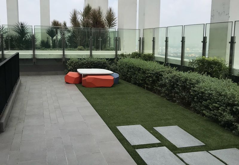 Arnica @ Tropicana Gardens