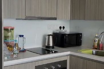 Dianthus @ Tropicana Gardens