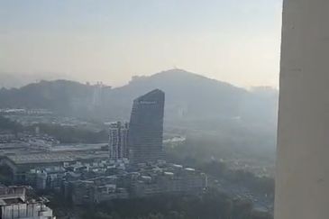 Dianthus @ Tropicana Gardens