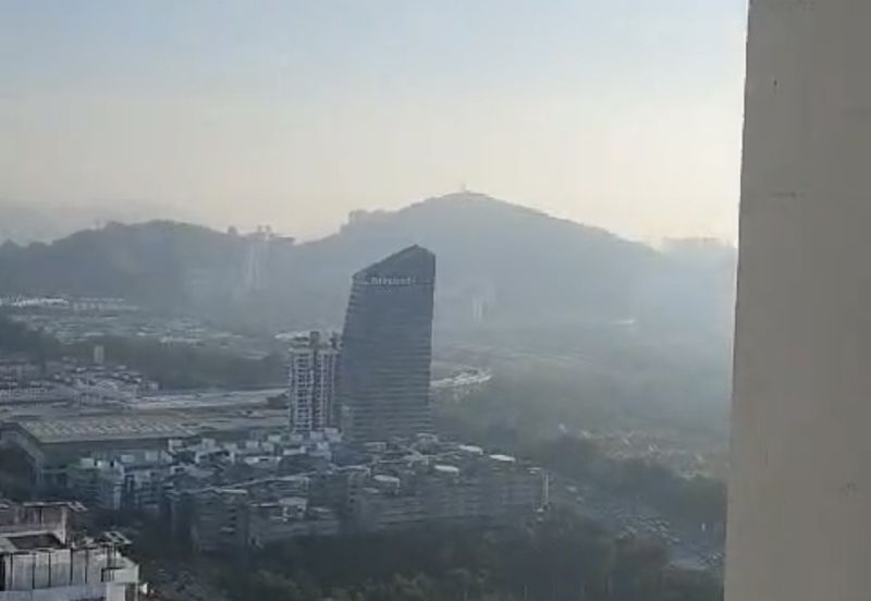 Dianthus @ Tropicana Gardens