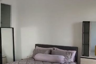 Dianthus @ Tropicana Gardens