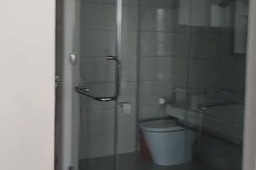 Dianthus @ Tropicana Gardens