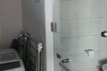 Dianthus @ Tropicana Gardens