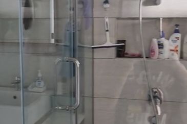 Dianthus @ Tropicana Gardens