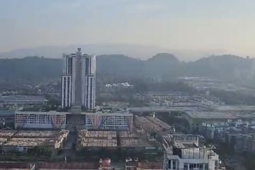 Dianthus @ Tropicana Gardens