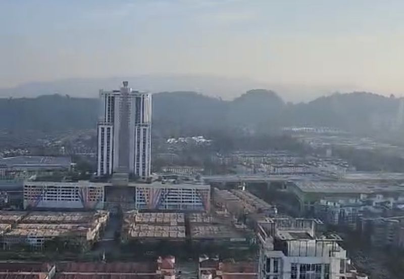 Dianthus @ Tropicana Gardens
