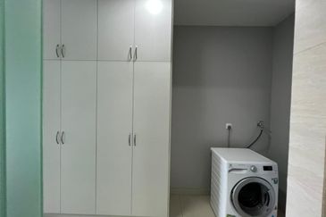 Cyperus @ Tropicana Gardens