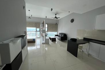 Cyperus @ Tropicana Gardens