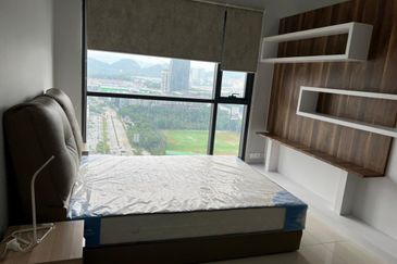 Cyperus @ Tropicana Gardens