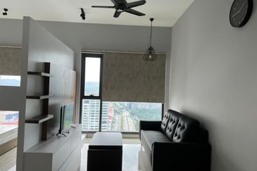 Cyperus @ Tropicana Gardens