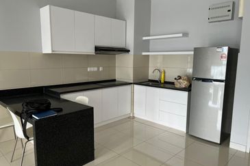 Cyperus @ Tropicana Gardens