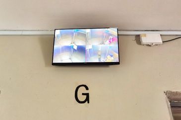 Vista Pinggiran, Taman Pinggiran Putra