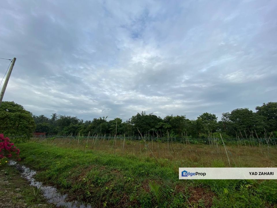 Below MV Land For Sale : Tanah Pertanian 1.27 Ekar @ Jalan Telok Gong Klang, Selangor, Port Klang