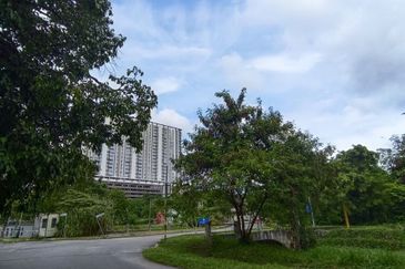 Taman Desa Meringin