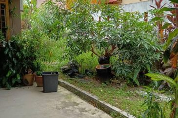 Taman Pinggiran Putra