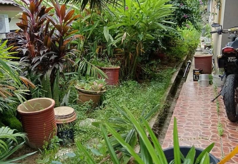 Taman Pinggiran Putra