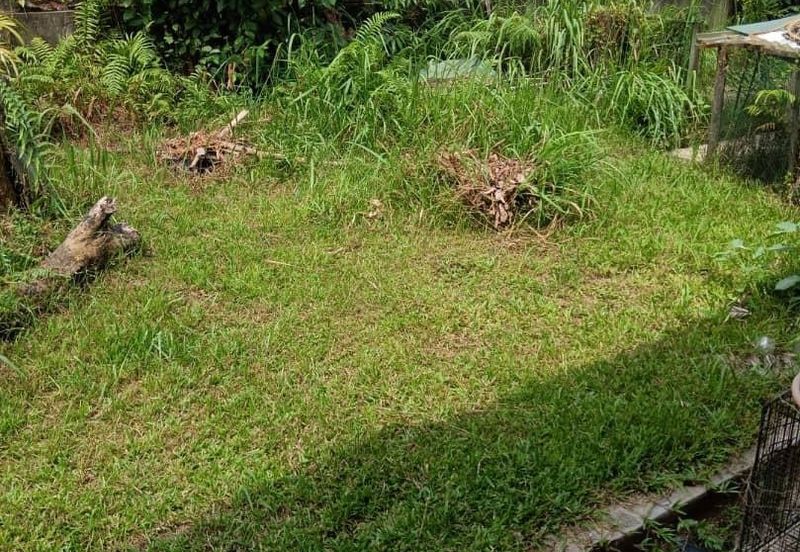 Taman Pinggiran Putra