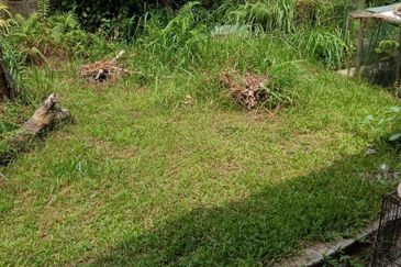 Taman Pinggiran Putra