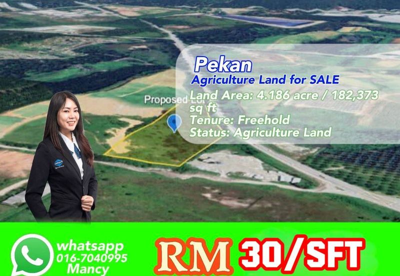 Pekan Nanas Industrial