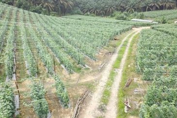 Taman Industri Kulai