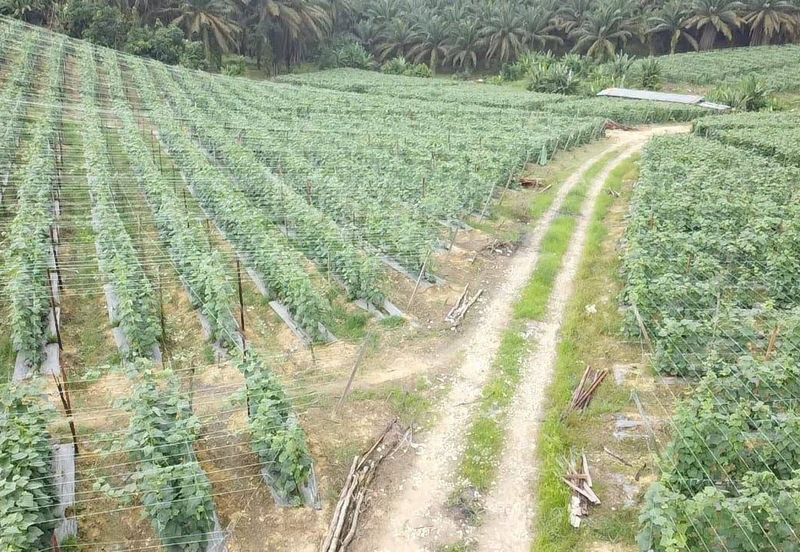 Taman Industri Kulai