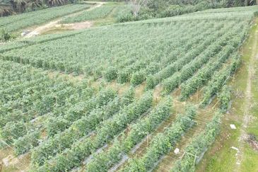 Taman Industri Kulai