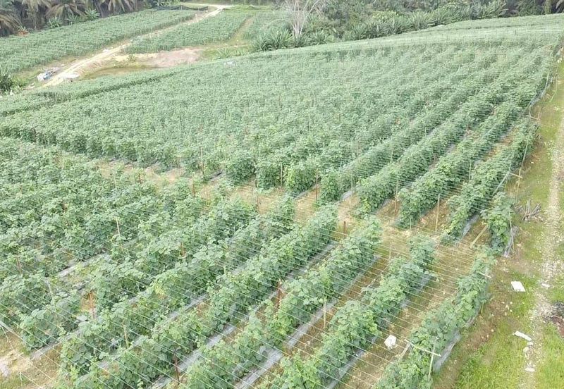 Taman Industri Kulai