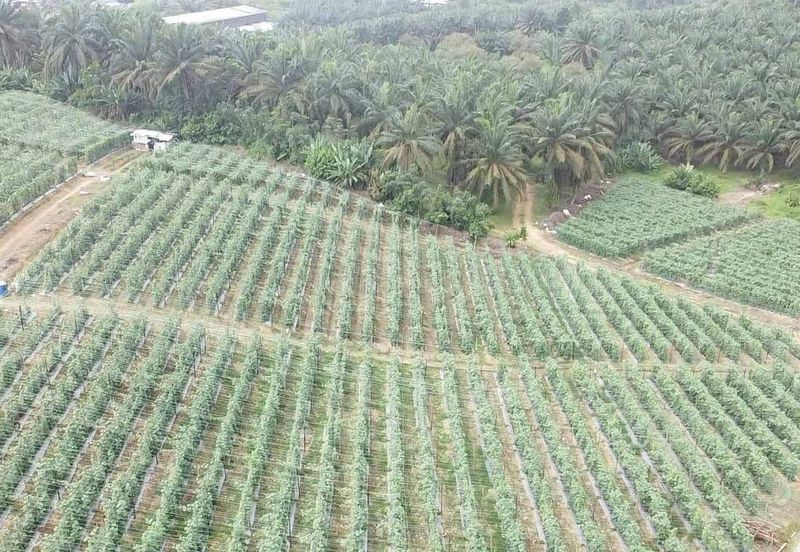 Taman Industri Kulai