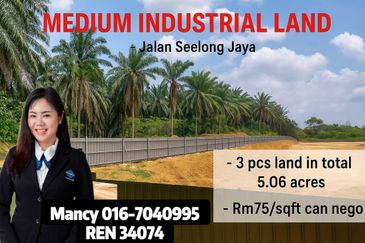 Senai New Semi-Detached Factory