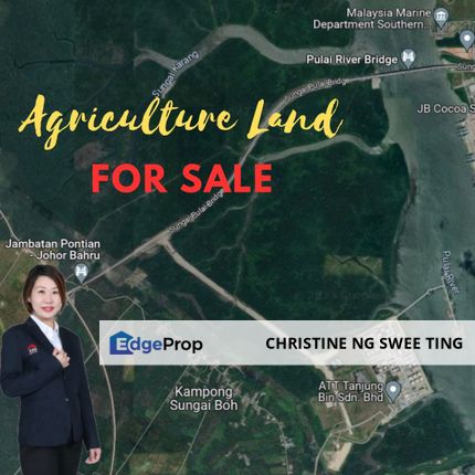 Pontian Agriculture Land For Sale , Johor, Pontian
