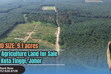 Kota Tinggi Agricultural Land 9.1acres For Sale