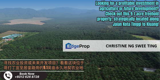 Kota Tinggi Agricultural Land 9.1acres For Sale, Johor, Kota Tinggi