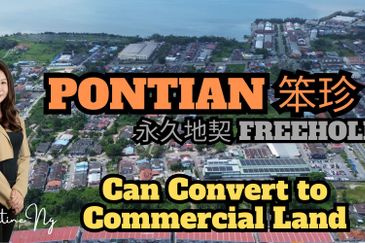 Pontian Land For Sale 4acres can convert to commercial 