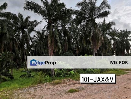 Prime Location Kapar 10.5 Acres Zoning Industrial & Agriculture Land Klang, Selangor, Kapar 
