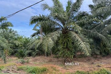 Telok Panglima Garang Industrial Zone