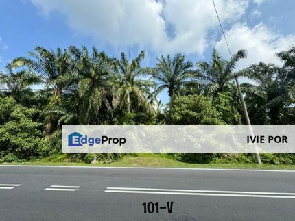 Telok Panglima Garang Kuala Langat Agriculture Land For Sale 3 Acres Zoning Industrial , Selangor, Kuala Langat