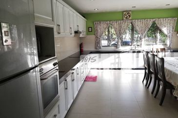 Anggerik Doritis @ Kota Kemuning