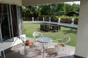 Anggerik Doritis @ Kota Kemuning